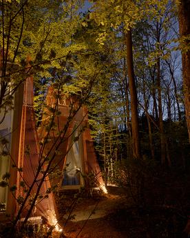 Budynok in the forest on VDNG, Kyiv - apartment by the day