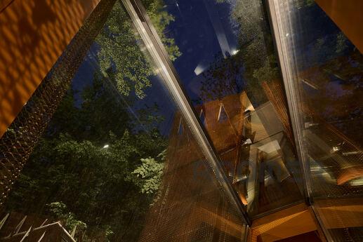 Little house for repairs in the forest at VDNG, Kyiv - apartment by the day