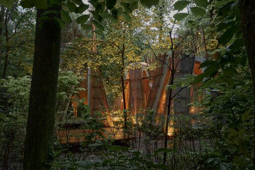 Little house for repairs in the forest at VDNG, Kyiv - apartment by the day