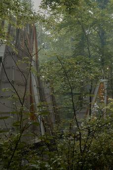 Little house for repairs in the forest at VDNG, Kyiv - apartment by the day