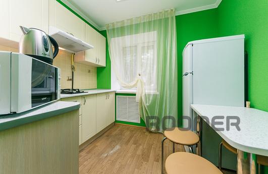 Cheap 1 bedroom apartment Darnitsa, Kyiv - apartment by the day