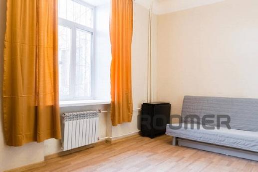 Comfortable and spacious 1-room apartment is in the historic