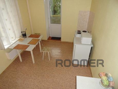 Large 2-bedroom apartment, Novosibirsk - apartment by the day