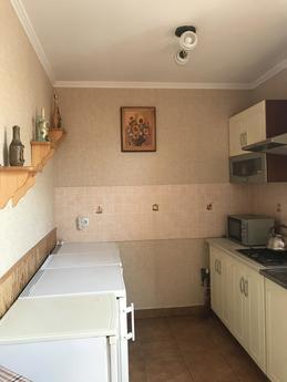 Оренда житла біля термальних басейнів, Берегово - квартира посуточно