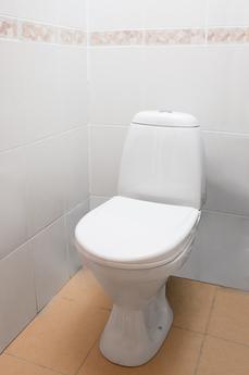 One-bedroom apartment, Yekaterinburg - apartment by the day