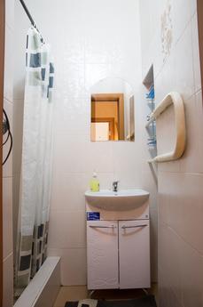 One-bedroom apartment, Yekaterinburg - apartment by the day