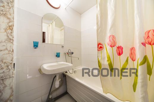 Cozy apartment on 1905, Moscow - apartment by the day