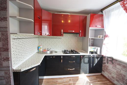 Cozy 2-room apartment (Karl Marx Ave 121/5) for a day, night