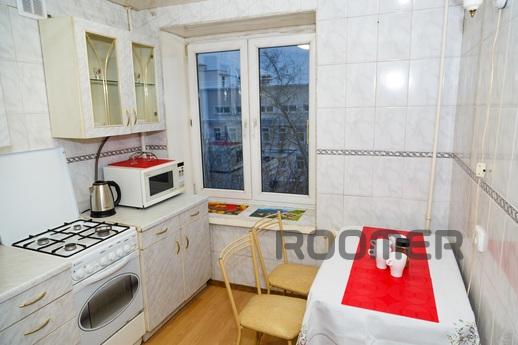 Nice apartment for rent, Moscow - apartment by the day
