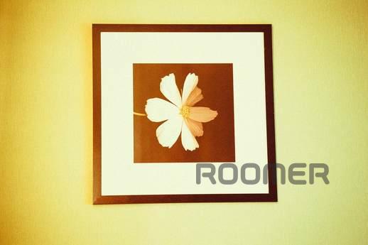 Apartment in the city center, Rostov-on-Don - apartment by the day