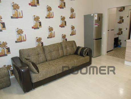 Studio apartment on the Red, Novosibirsk - apartment by the day