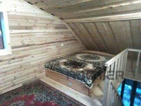 Сдам посуточно частный дом, Берегово - квартира посуточно