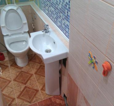 One bedroom apartment in the center, Kazan - apartment by the day