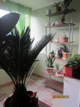 2 bedroom in the center of Yalta, Yalta - apartment by the day