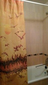 daily, hourly, weekly, Dnipro (Dnipropetrovsk) - apartment by the day