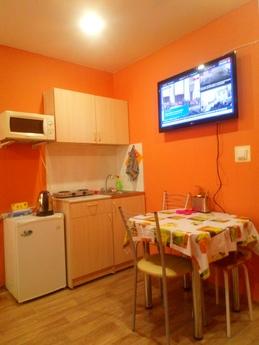 1 bedroom apartment for rent, Novosibirsk - apartment by the day