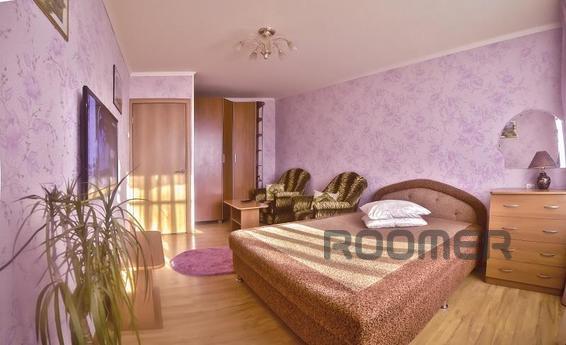 Excellent one-bedroom apartment in good repair at the center
