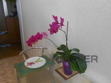 1-bedroom apartment for relax, Chernomorsk (Illichivsk) - apartment by the day