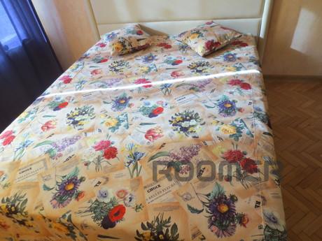 Near the metro, renovated, 3 bed, Moscow - apartment by the day
