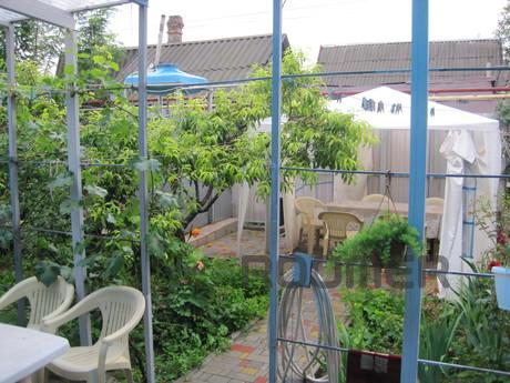 I rent a house (3 bedrooms) at the sea, Odessa - apartment by the day
