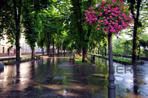 Просторная квартира в самом центре!, Одесса - квартира посуточно