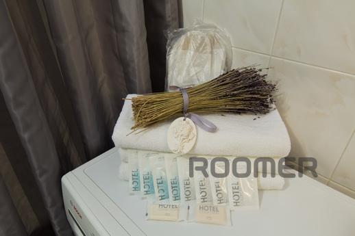 1 bedroom apartment for rent, Moscow - apartment by the day
