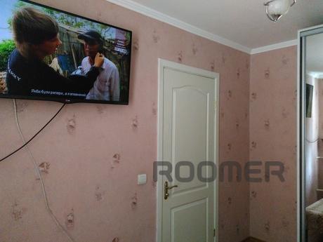 the very center, cozy, clean, beautiful, Vinnytsia - apartment by the day