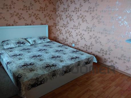 the very center, cozy, clean, beautiful, Vinnytsia - apartment by the day