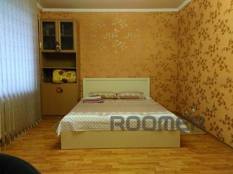 the very center, cozy, clean, beautiful, Vinnytsia - apartment by the day