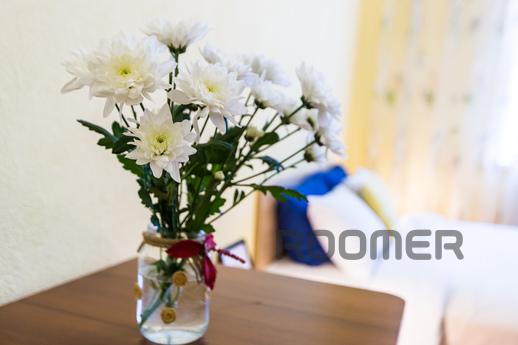 Modern 2BR Apartment in Central Lviv, Lviv - apartment by the day