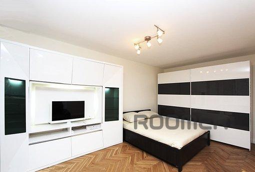 Daily rental rent studio apartment with excellent repair and
