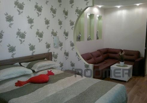 Daily rental rent studio apartment with excellent repair and