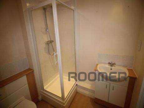 Rental apartment on the day. Sunny, spacious one-bedroom apa