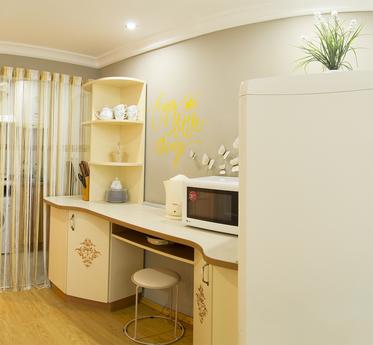 Beautiful apartment renovated, Lviv - apartment by the day