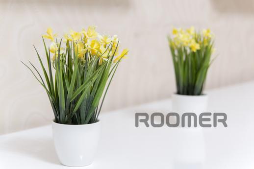 Beautiful spacious apartment, Lviv - apartment by the day