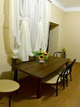 Beautiful spacious apartment, Lviv - apartment by the day