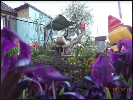 We rent a beautiful cozy house with all amenities in 5-7min.