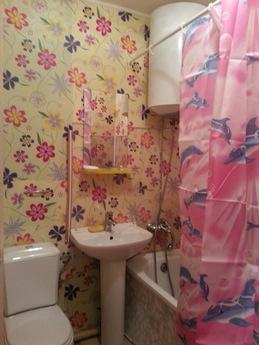Its 1 bedroom near the sea, Park 10, Chernomorsk (Illichivsk) - apartment by the day