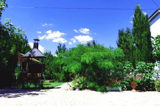 Море у Дачи, Саки - квартира посуточно