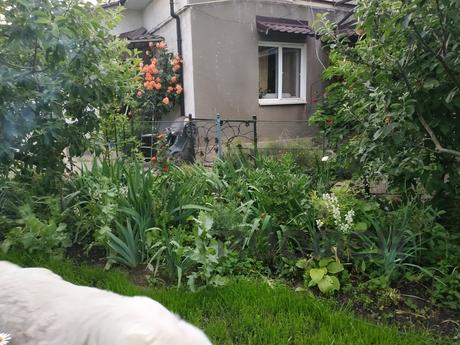 На живописном берегу в  Фонтанке дом, Одесса - квартира посуточно