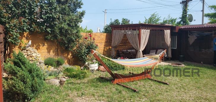 Small house by the sea, Chernomorsk (Illichivsk) - apartment by the day
