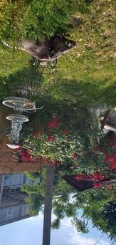 Small house by the sea, Chernomorsk (Illichivsk) - apartment by the day