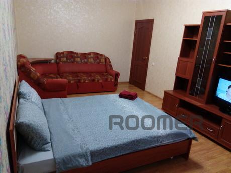 Cozy and clean apartment in the 1k tsenre. In walking the st