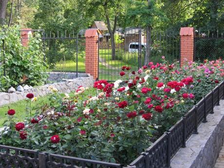 House for rent Mirgorod resort, Mirgorod - apartment by the day