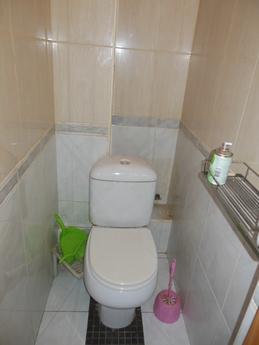 1 bedroom apartment in the center, Novosibirsk - apartment by the day