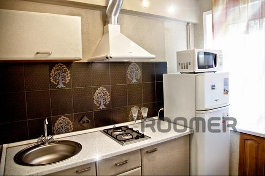 Beautiful flat in Volga embankment, Samara - apartment by the day