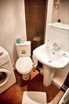Beautiful flat in Volga embankment, Samara - apartment by the day