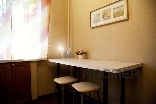 Beautiful flat in Volga embankment, Samara - apartment by the day