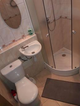 Cozy 1 bedroom apartment., Lviv - apartment by the day