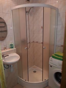 Cozy 1 bedroom apartment., Lviv - apartment by the day